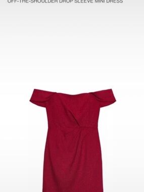 Zara Off-the-Shoulder Burgundy Mini Dress